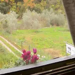 Il Cappellaio Matto Montalto Ligure