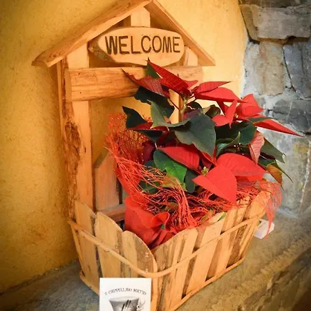 Il Cappellaio Matto Bed & Breakfast *