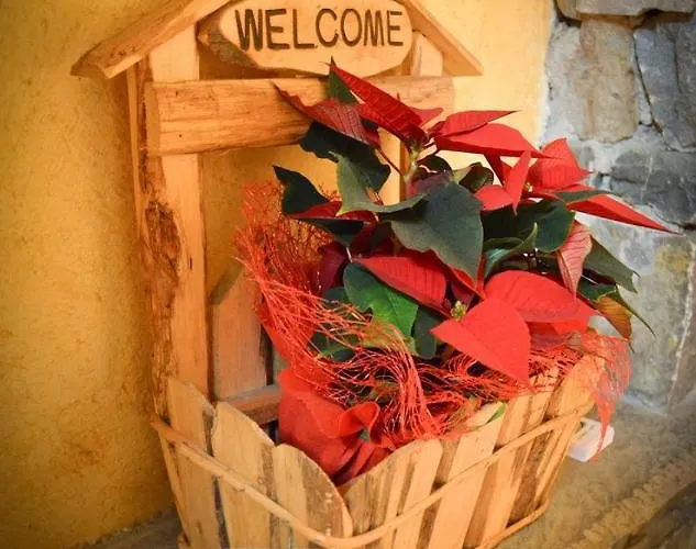 Il Cappellaio Matto 住宿加早餐酒店 3*