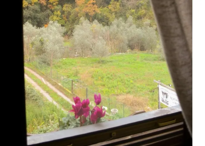 Il Cappellaio Matto Montalto Ligure