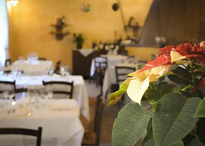 Il Cappellaio Matto 住宿加早餐酒店 3*