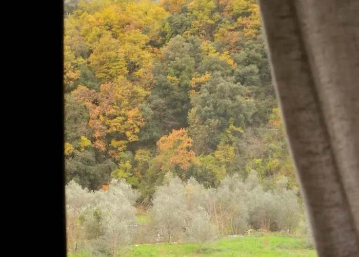 Il Cappellaio Matto 3*